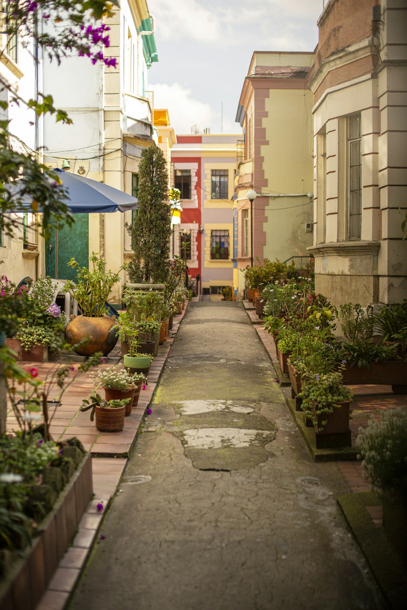 Vertical shot of a walkway between buildings and plants in Bogota, Colombia
